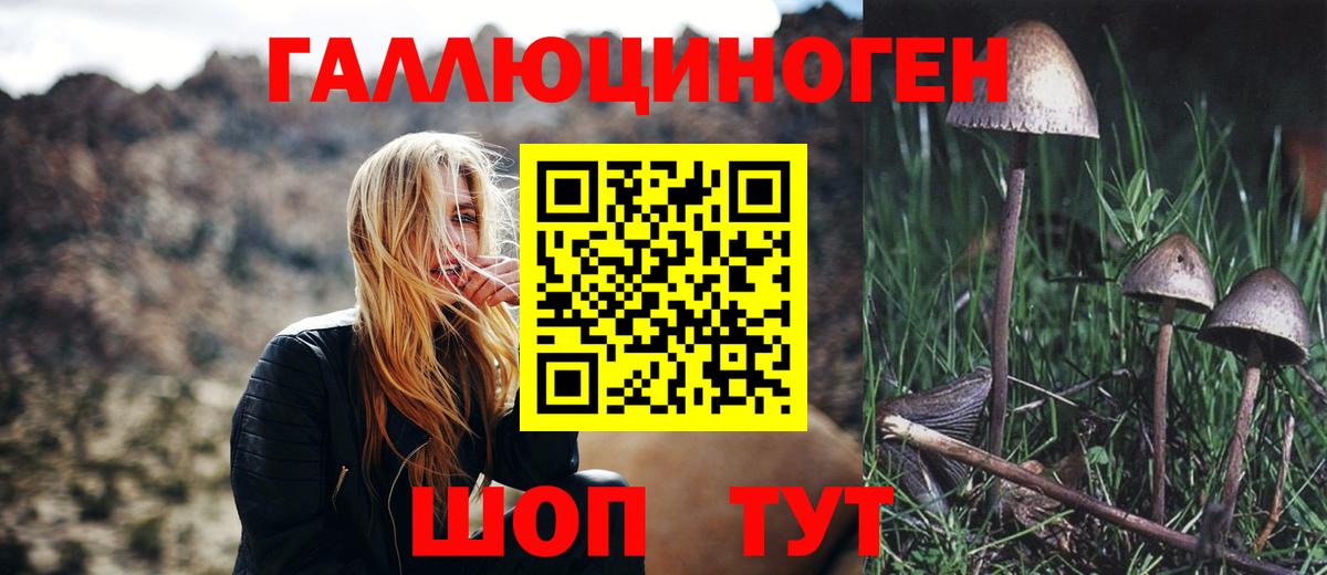 Псилоцибиновые грибы Psilocybine cubensis  Вход с VPN  Городец 